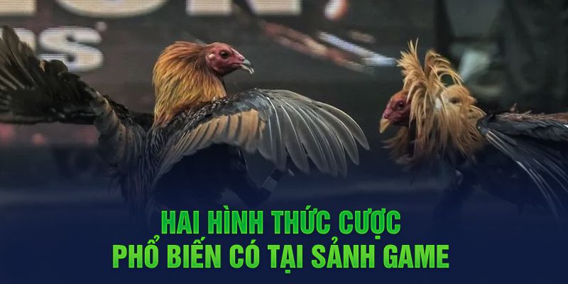 Hai hình thức cược phổ biến có tại sảnh game