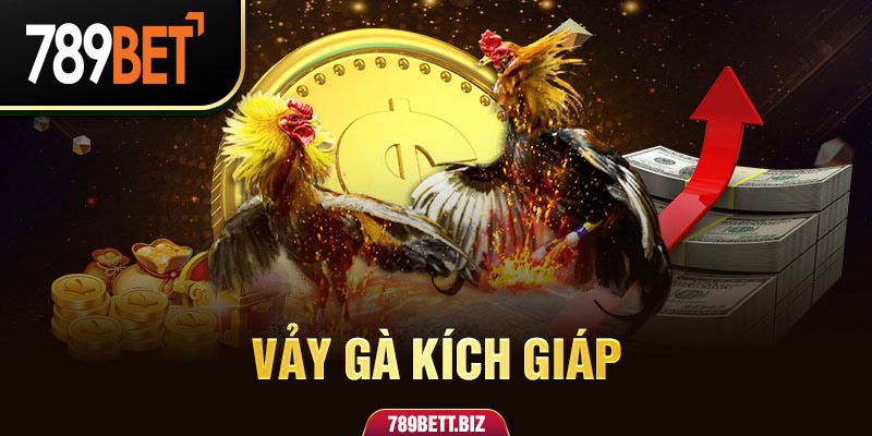 Đặc Điểm Của Vảy Gà Kích Giáp Và Khả Năng Thi Đấu